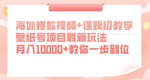 海外爆款视频+保姆级教学，壁纸号项目最新玩法，月入10000+教你一步到位【揭秘】-致富资源库