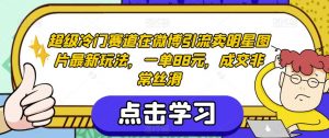 超级冷门赛道在微博引流卖明星图片最新玩法,一单88元,成交非常丝滑【揭秘】-致富资源库