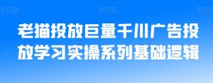 老猫投放巨量千川广告投放学习实操系列基础逻辑-致富资源库