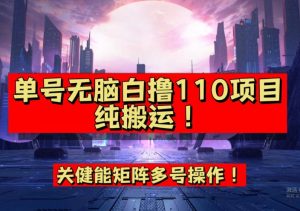 9月全网首发，单号直接白撸110！可多号操作，无脑搬运复制粘贴【揭秘】-致富资源库