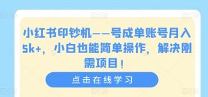 小红书印钞机——号成单账号月入5k+，小白也能简单操作，解决刚需项目【揭秘】-致富资源库