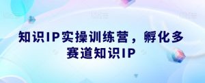 知识IP实操训练营,孵化多赛道知识IP-致富资源库