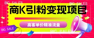 商K引粉变现项目，高客单价精准流量【揭秘】-致富资源库