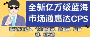 全新亿万级蓝海市场通惠达cps,最强管道收入,让你睡着赚、躺着赚、玩着赚、轻松赚【揭秘】-致富资源库