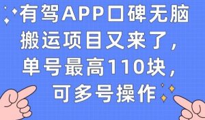 有驾APP口碑无脑搬运项目又来了,单号最高110块,可多号操作-致富资源库