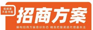 王昕招商方案，解构招商方案意识形态，精准把握渠道代理基本法-致富资源库