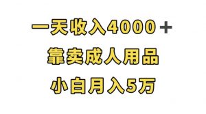 一天收入4000+，靠卖成人用品，小白轻松月入5万【揭秘】-致富资源库