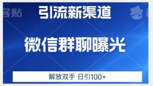 价值2980的全新微信引流技术,只有你想不到,没有做不到【揭秘】-致富资源库