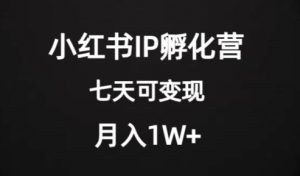 价值2000+的小红书IP孵化营项目,超级大蓝海,七天即可开始变现,稳定月入1W+-致富资源库