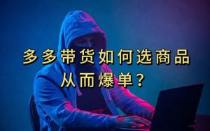 多多视频带货选什么商品链接才能爆单，10分钟教会你，爆单不是浮云【揭秘】-致富资源库