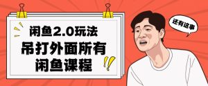 闲鱼2.0玩法单号每天日入2000，吊打市面所有课程-致富资源库