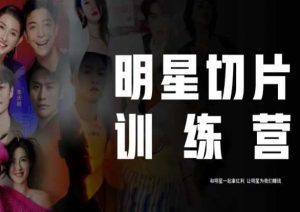 王子·明星切片线上训练营(2023),和明星一起拿红利,让明星为我们赚钱-致富资源库