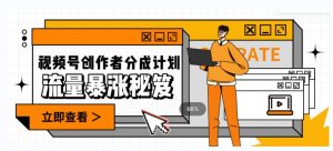 一条视频收益3000+，一条作品涨粉2000+，视频号流量爆炸·的秘籍-致富资源库