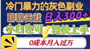 冷门暴利的副业项目，聊聊天就能日入300+，0成本月入过万【揭秘】-致富资源库