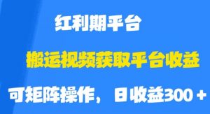搬运视频获取平台收益,平台红利期,附保姆级教程【揭秘】-致富资源库