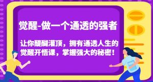 觉醒-做一个通透的强者，让你醍醐灌顶，拥有通透人生的觉醒开悟课，掌握强大的秘密！-致富资源库