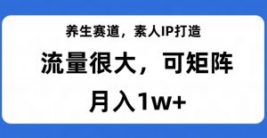 养生赛道，素人IP打造，流量很大，可矩阵，月入1w+【揭秘】-致富资源库