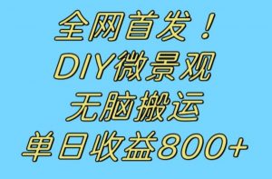 全网首发冷门赛道！DIY微景观，无脑搬运视频，日收益800+【揭秘】-致富资源库