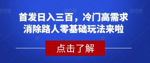首发日入三百，冷门高需求消除路人零基础玩法来啦【揭秘】-致富资源库
