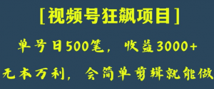 日收款500笔,纯利润3000+,视频号狂飙项目,会简单剪辑就能做【揭秘】-致富资源库