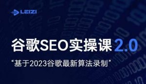 雷子·谷歌SEO 2.0实战课,独立站询盘自由必备,基于2023谷歌最新算法录制-致富资源库