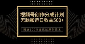 最新视频号创作分成计划,无脑搬运一天收益500+,100%搬运过原创技巧【揭秘】-致富资源库