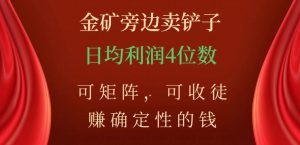 金矿旁边卖铲子，赚确定性的钱，可矩阵，可收徒，日均利润4位数【揭秘】-致富资源库