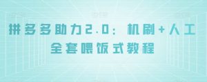 拼多多助力2.0：机刷+人工全套喂饭式教程【揭秘】-致富资源库