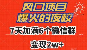 全网首发，爆火的夜校，7天加满6个微信群，变现2w+【揭秘】-致富资源库