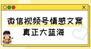 视频号情感文案，真正大蓝海，简单操作，新手小白轻松上手（教程+素材）【揭秘】-致富资源库