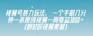 视频号暴力玩法，一个手机几分钟一条原创视频一周收益3800+（附820G视频素材）-致富资源库