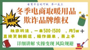 利用电商平台冬季销售取暖用品欺诈行为合理制裁店铺，单日入900+【仅揭秘】-致富资源库