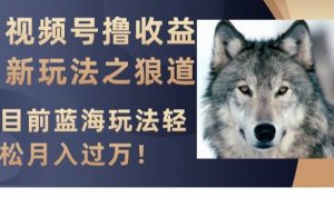 视频号撸收益新玩法之狼道,目前蓝海玩法,轻松月入过万【揭秘】-致富资源库