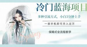 冷门蓝海项目，操作简单，小白3分钟上手，多种引流方式，保姆式全流程教学【揭秘】-致富资源库