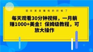 每天观看30分钟视频，一月躺赚1000+美金！保姆级教程，可放大操作【揭秘】-致富资源库