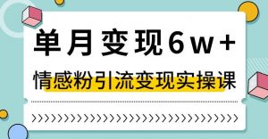 单月变现6W+，抖音情感粉引流变现实操课，小白可做，轻松上手，独家赛道【揭秘】-致富资源库