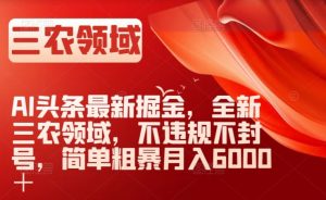 AI头条最新掘金，全新三农领域，不违规不封号，简单粗暴月入6000＋【揭秘】-致富资源库