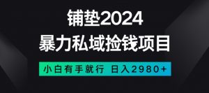 暴力私域捡钱项目，小白无脑操作，日入2980【揭秘】-致富资源库