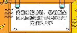 卖莆田篮球鞋，暴利掘金日入四位数新手小白都可以轻松上手【揭秘】-致富资源库