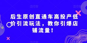 后生原创直通车高投产低价引流玩法，教你引爆店铺流量！-致富资源库
