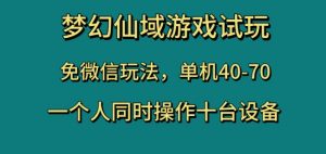 梦幻仙域游戏试玩,免微信玩法,单机40-70,一个人同时操作十台设备【揭秘】-致富资源库
