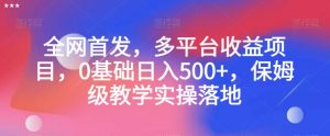全网首发,多平台收益项目,0基础日入500+,保姆级教学实操落地【揭秘】-致富资源库