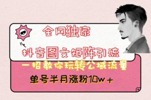 全网独家抖音图文矩阵引流,一招教你玩转公域流量,单号半月涨粉10w+【揭秘】-致富资源库