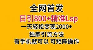 全网首发！日引800+精准老色批，一天变现2000+，独家引流方法，可矩阵操作【揭秘】-致富资源库