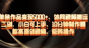 单条作品变现5000+、外网视频搬运二创，小白可上手，10分钟制作爆款高原创视频，矩阵操作【揭秘】-致富资源库