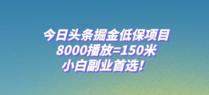 今日头条掘金低保项目，8000播放=150米，小白副业首选【揭秘】-致富资源库