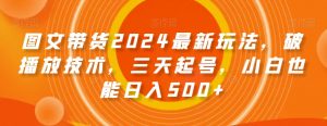图文带货2024最新玩法，破播放技术，三天起号，小白也能日入500+【揭秘】-致富资源库