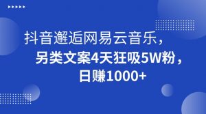抖音邂逅网易云音乐，另类文案4天狂吸5W粉，日赚1000+【揭秘】-致富资源库