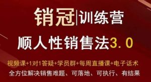 爆款!销冠训练营3.0之顺人性销售法,全方位解决销售难题、可落地、可执行、有结果-致富资源库