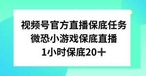 视频号直播任务，微恐小游戏，1小时20+【揭秘】-致富资源库